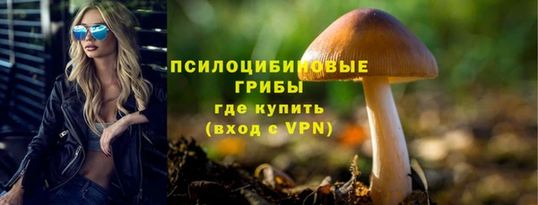 бошки Семилуки