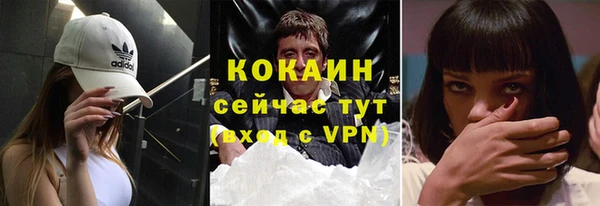 бошки Семилуки