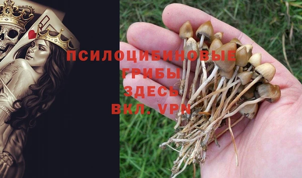шишки Семикаракорск