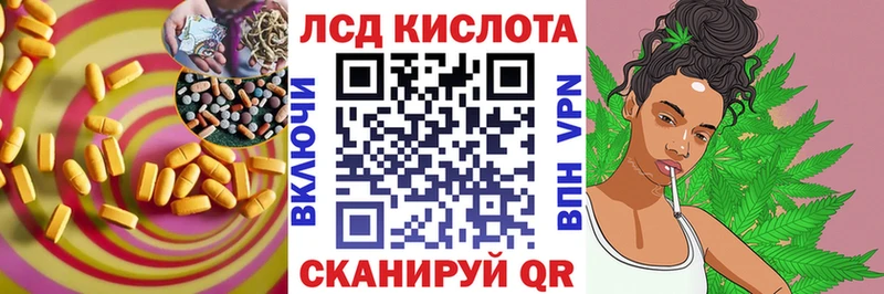 kraken зеркало  Рошаль  ЛСД экстази кислота 