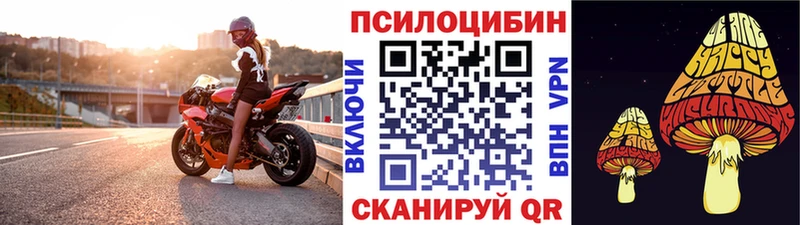 Псилоцибиновые грибы мухоморы Рошаль